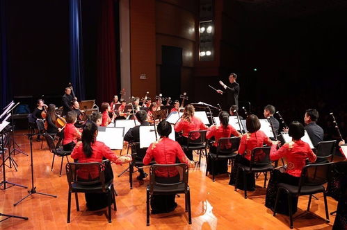 文化金灣丨2017全力推進文化強區建設 組織文化藝術交流活動